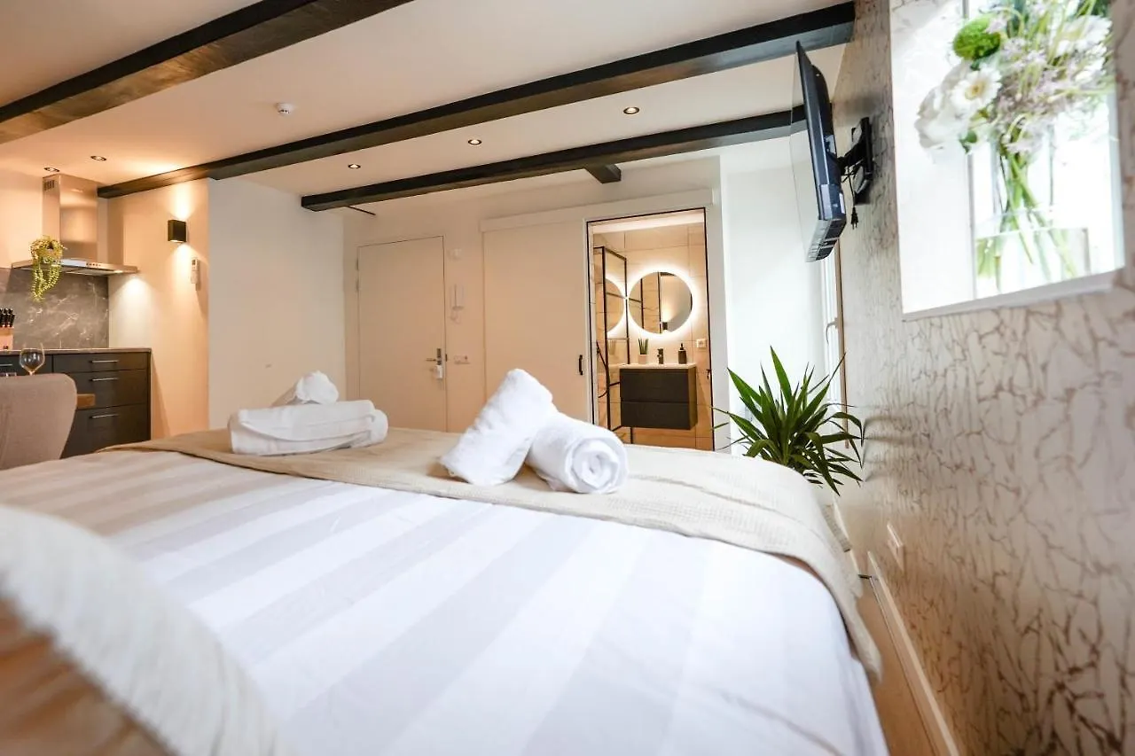 Vakantiehuis Luxury City Center Studio Delft Nederland