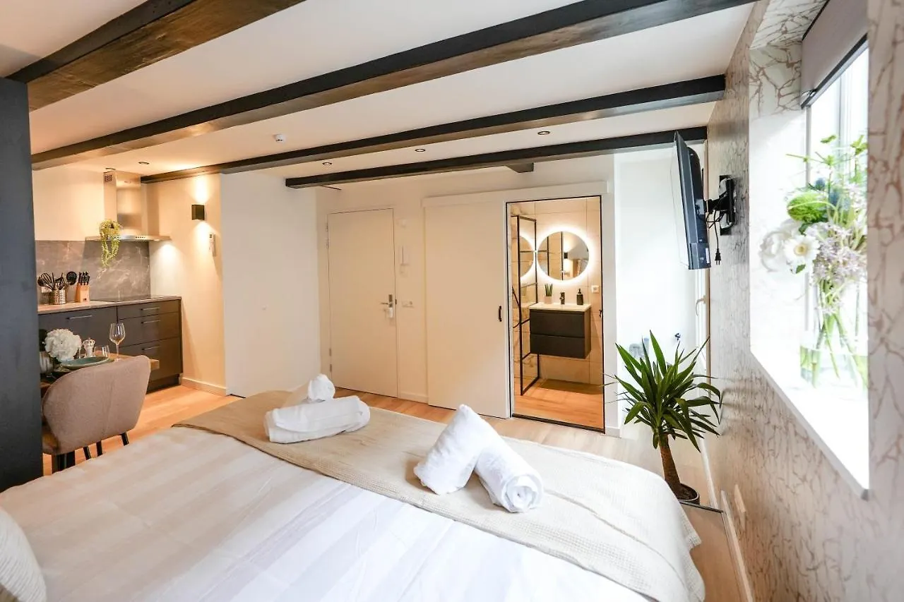 Luxury City Center Studio Delft Vakantiehuis